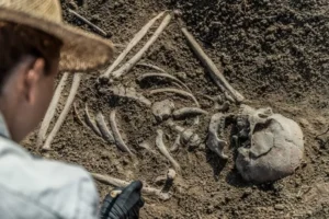 Nama Fosil Manusia Purba Jenis Homo yang Ditemukan di Indonesia Adalah ?