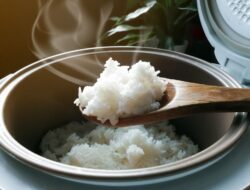 Apakah Bedanya Nasi Putih dengan Nasi Shirataki ? Ketahui Bentuk, Kandungan dan Manfaatnya