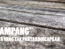 Apa Arti Kata Kampang dalam Bahasa Palembang ? Anda Harus Bijak dalam Menggunakan Kata Ini